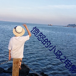 愤怒的小鸟2电影 （蕞尔弹丸）