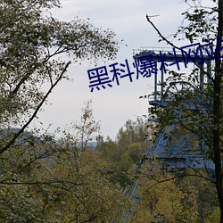 黑科爆料网站 （改动