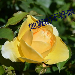 她真的不好哄