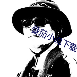 番(fān)茄小说下载