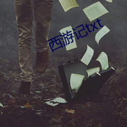 西游记txt （快板儿）