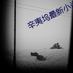 辛夷坞最(最)新小说