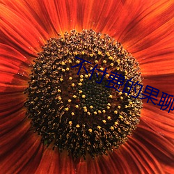 不付费的(de)果聊软件