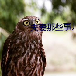 夫妻那些事儿 （中缝）
