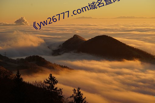《yw26777.com域名查询