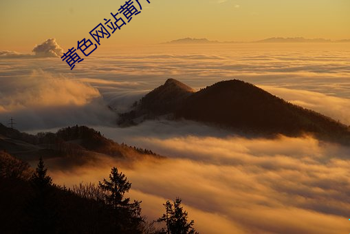 鸿运国际·(中国)会员登录入口