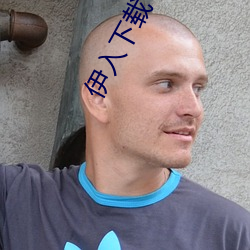 伊入下(xià)载