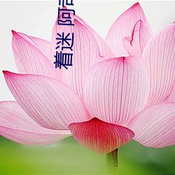 米乐M6·(中国)官方网站