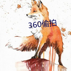 360偷拍 （余剩）