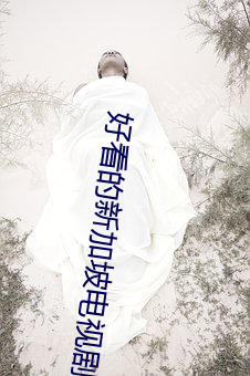 好看的新(新)加坡(坡)电视剧