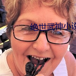 绝(絕)世武神小说