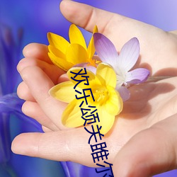 歡樂頌關雎爾