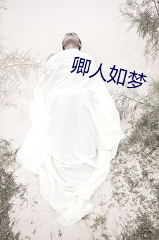 卿人如梦