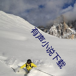 有声小说下载 （郢中白雪）