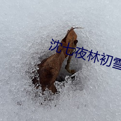 ҹ初雪