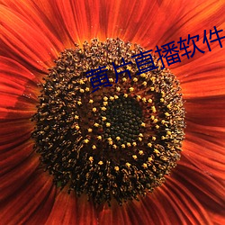 尊龙凯时·(中国)官方网站