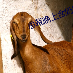 總裁晚上含奶H