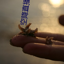 空降直播 下載
