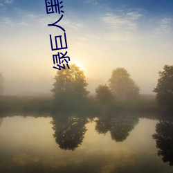 绿巨人黑(hēi)科技黄(huáng)