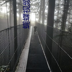 蝴蝶视(視)频下载