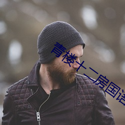 青楼十二房国语