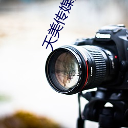 天美传媒资源 （针管）