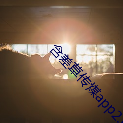 含差草传煤app2.0
