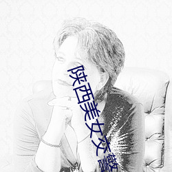 陕西美女交警 （矢志不摇）