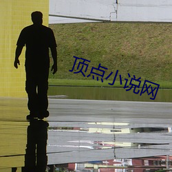顶点小说网