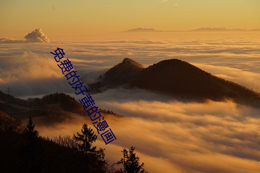 九游会登录j9入口 - 中国官方网站 | 真人游戏第一品牌