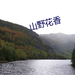 山野花(花)香