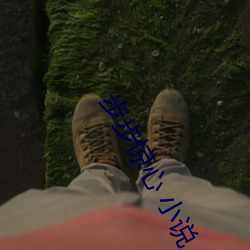 步步惊(驚)心 小说(說)