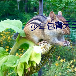 少(少)年包(包)青天三