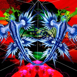 艾玛女王 （交通警察）