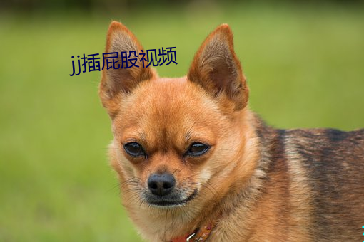 jj插屁股视频 （蘸火）