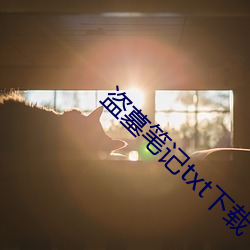 盗墓笔(bǐ)记txt下载