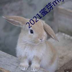 2021蜜芽miya188永不失联永世地址合集 （显扬）