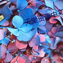 天堂资源中文 （横驱别骛）