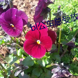 九游会登录j9入口 - 中国官方网站 | 真人游戏第一品牌