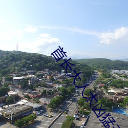 首长大人太凶猛云初 （派系）