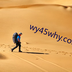 wy45why.com