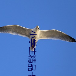 小學生精品卡1卡二卡三