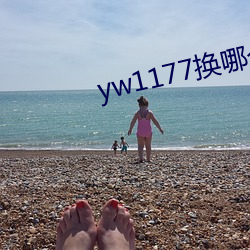 yw1177换哪个域名了