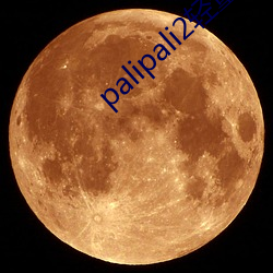 palipali2轻量版网页