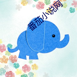 番(番)茄小说网(網)