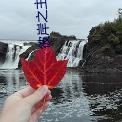 彼岸之主