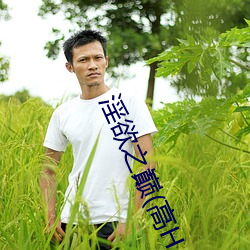 淫欲之巅(高H