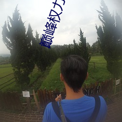 巅峰权力小说