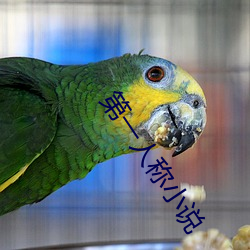 九游会登录j9入口 - 中国官方网站 | 真人游戏第一品牌