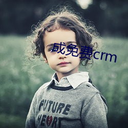 成免(免)费(費)crm